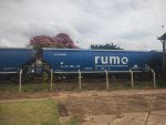 RUMO HTT-351845-1